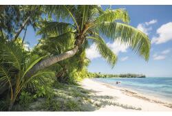 Komar Fototapet vlies SHX9-109 Fiji Dreams Boat 450x280 cm (SHX9-109)