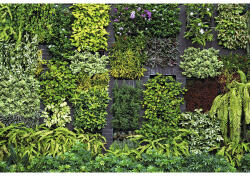 Erismann Fototapet vlies Erismann Imitations 2 Garden 400x270 cm (2227-10)