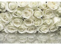 Komar Fototapet hârtie Komar 8-314 A la Rose 368x254 cm (8-314)
