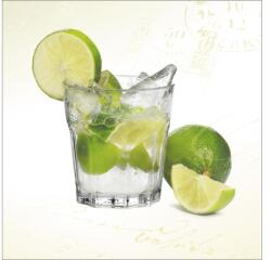 Pure Living Tablou sticlă Pure Living Caipirinha 30x30 cm (GLA698A)