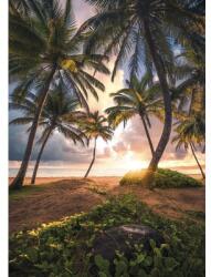 Komar Fototapet vlies Komar SHX4-090 Vertical Paradise 200x280 cm (SHX4-090)