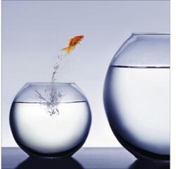 Pure Living Tablou sticlă Pure Living Jumping Fish 30x30 cm (GLA494A)