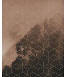 Komar Fototapet vlies Komar PSH099-VD2 Golden Grid 200x250 cm (PSH099-VD2)