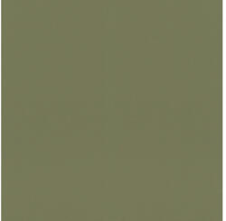 Rasch Tapet vlies Rasch 687538 Rhapsody Tropical House uni verde 10, 05x0, 53 m (687538)