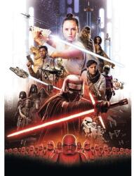 Komar Fototapet hârtie Komar 4-4113 Disney Edition 4 Star Wars EP9 Movie Poster Rey 184x254 cm (Apr 13)