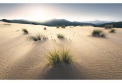 Komar Fototapet vlies Komar SHX9-091 Vivid Dunes 450x280 cm (SHX9-091)