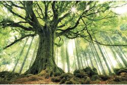 The Wall Tablou canvas The Wall Green Giant 100x150 cm (49715)
