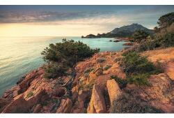 Komar Fototapet vlies Komar SHX9-066 Paradiso II 450x280 cm (SHX9-066)