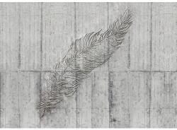 Komar Fototapet vlies Komar X7-1023 Concrete Feather 350x250 cm (X7-1023)