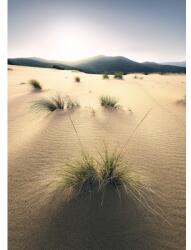Komar Fototapet vlies Komar SHX4-091 Vivid Dunes 200x280 cm (SHX4-091)