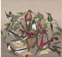 Rasch Fototapet vlies Rasch Curiosity Birds bej 318x300 cm (543568)