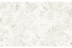 Komar Fototapet vlies Komar 6019B-VD4 Infinity Sheer Grey 400x250 cm (6019B-VD4)