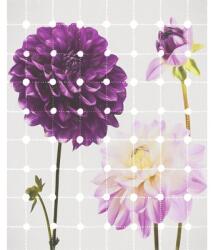 Komar Fototapet vlies Komar 6006A-VD2 Flowers & Dots 200x250 cm (6006A-VD2)