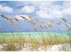 Komar Fototapet hârtie Komar Ocean Breeze 368x254 cm (8-515)