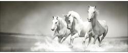 Pure Living Tablou sticlă Pure Living White Horses 30x80 cm (GLA1176C)