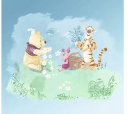 Komar Fototapet vlies Komar DX6-033 Disney Edition 4 Winnie Pooh Picnic 300x280 cm (DX6-033)