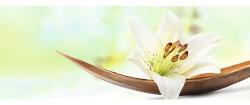 Pure Living Tablou sticlă Pure Living Young Living I 30x80 cm (GLA724C)