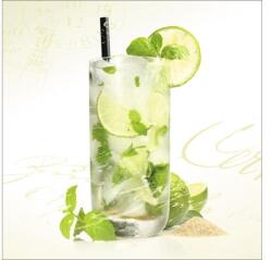 Pure Living Tablou sticlă Pure Living Mojito 20x20 cm (GLA697D)