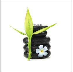 Pure Living Tablou sticlă Pure Living Stone & Plant I 30x30 cm (GLA1227A)