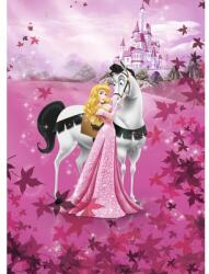 Komar Fototapet hârtie Komar 4-495 Disney Edition 4 Sleeping Beauty 184x254 cm (4-495)