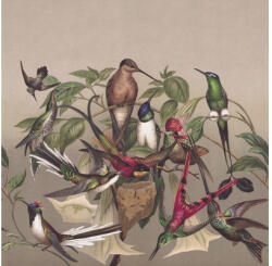 Rasch Fototapet vlies Rasch Curiosity Birds bej 265x265 cm (543575)