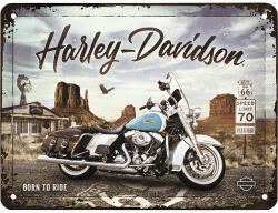 Nostalgic-Art Tablou metalic decorativ Nostalgic-Art Harley-Davidson R 66 15x20 cm (26255)