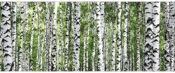 Pure Living Tablou sticlă Pure Living Tree Trunk Collection 30x80 cm (GLA1850C)