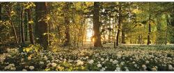 Pure Living Tablou sticlă Pure Living Sweet Woodruff 30x80 cm (GLA901C)