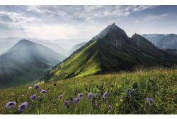 Komar Fototapet vlies Komar SHX9-088 The Green Queen 450x280 cm (SHX9-088)
