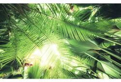 Komar Fototapet vlies Komar SHX9-025 Jungle roof 450x280 cm (SHX9-025)