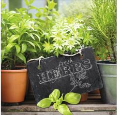 Pure Living Tablou sticlă Pure Living Fresh Herbs I 30x30 cm (GLA1051A)