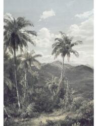 Komar Fototapet vlies Komar R2-006 The Exotic Land 200x280 cm (R2-006)