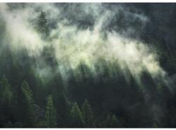 Komar Fototapet vlies Komar X7-1003 Misty Crowns 350x250 cm (X7-1003)