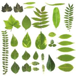 Pure Living Tablou sticlă Pure Living Different Leaves 20x20 cm (GLA1802D)