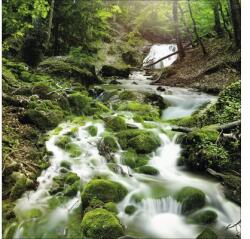 Pure Living Tablou sticlă Pure Living Mystic Ways 30x30 cm (GLA985A)