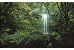 Komar Fototapet vlies Komar SHX9-125 Secret Veil 450x280 cm (SHX9-125)
