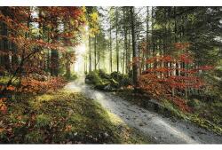 Komar Fototapet vlies Komar SHX9-031 Fire tongues 450x280 cm (SHX9-031)