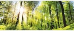 Pure Living Tablou sticlă Pure Living Towards The Sun 30x80 cm (GLA1823C)