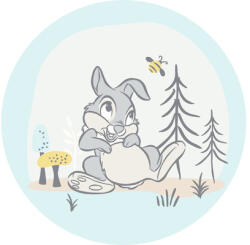 Komar Fototapet rotund autoadeziv Komar DD1-044 Disney Bambi Thumper Ø 125 cm (DD1-044)
