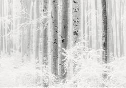 Komar Fototapet vlies Komar R4-043 Winter Wood 400x280 cm (R4-043)
