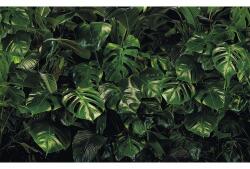 Komar Fototapet vlies P333-VD4 Pure Tropical Wall 400x250 cm (P333-VD4)