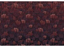 Komar Fototapet vlies Komar HX8-051 Tulipe 400x280 cm (HX8-051)