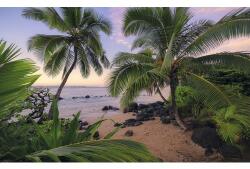 Komar Fototapet vlies Komar SHX9-116 Hawaiian Dreams 450x280 cm (SHX9-116)
