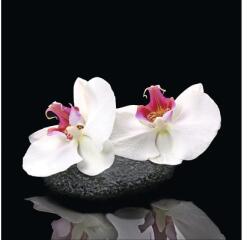 Pure Living Tablou sticlă Pure Living White Orchid V 20x20 cm (GLA1340D)