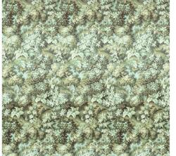 Komar Fototapet vlies Komar HX6-003 Botanique Vert 300x280 cm (HX6-003)