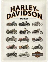 Nostalgic-Art Tablou metalic decorativ Nostalgic-Art Harley Models 30x40 cm (23233)