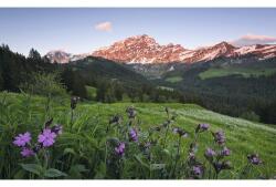 Komar Fototapet vlies SHX9-069 Picturesque Switzerland 450x280 cm (SHX9-069)