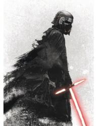 Komar Fototapet vlies Komar DX4-074 Disney Edition 4 Star Wars Kylo Vader Shadow 200x280 cm (DX4-074)