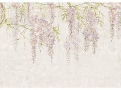 Komar Fototapet vlies Komar R4-050 Wisteria 400x280 cm (R4-050)