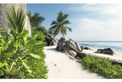 Komar Fototapet vlies Komar SHX9-084 Daydreams 450x280 cm (SHX9-084)
